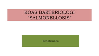 KOAS BAKTERIOLOGI
“SALMONELLOSIS”
Scriptiantino
 