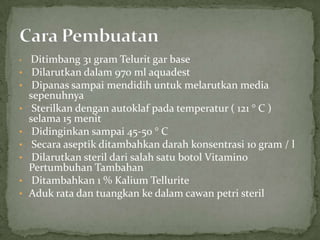 •

•
•
•
•
•
•
•
•

Ditimbang 31 gram Telurit gar base
Dilarutkan dalam 970 ml aquadest
Dipanas sampai mendidih untuk melarutkan media
sepenuhnya
Sterilkan dengan autoklaf pada temperatur ( 121 ° C )
selama 15 menit
Didinginkan sampai 45-50 ° C
Secara aseptik ditambahkan darah konsentrasi 10 gram / ​l
Dilarutkan steril dari salah satu botol Vitamino
Pertumbuhan Tambahan
Ditambahkan 1 % Kalium Tellurite
Aduk rata dan tuangkan ke dalam cawan petri steril

 