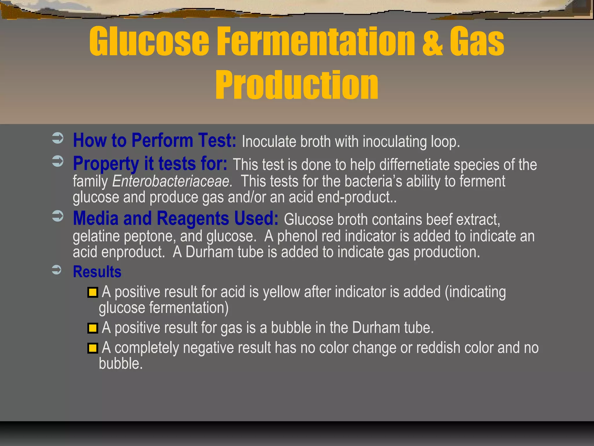 Glucose Fermentation & Gas
Production
 How to Perform Test: Inoculate broth with inoculating loop.
 Property it tests for: This test is done to help differnetiate species of the
family Enterobacteriaceae. This tests for the bacteria’s ability to ferment
glucose and produce gas and/or an acid end-product..
 Media and Reagents Used: Glucose broth contains beef extract,
gelatine peptone, and glucose. A phenol red indicator is added to indicate an
acid enproduct. A Durham tube is added to indicate gas production.
 Results
A positive result for acid is yellow after indicator is added (indicating
glucose fermentation)
A positive result for gas is a bubble in the Durham tube.
A completely negative result has no color change or reddish color and no
bubble.
 