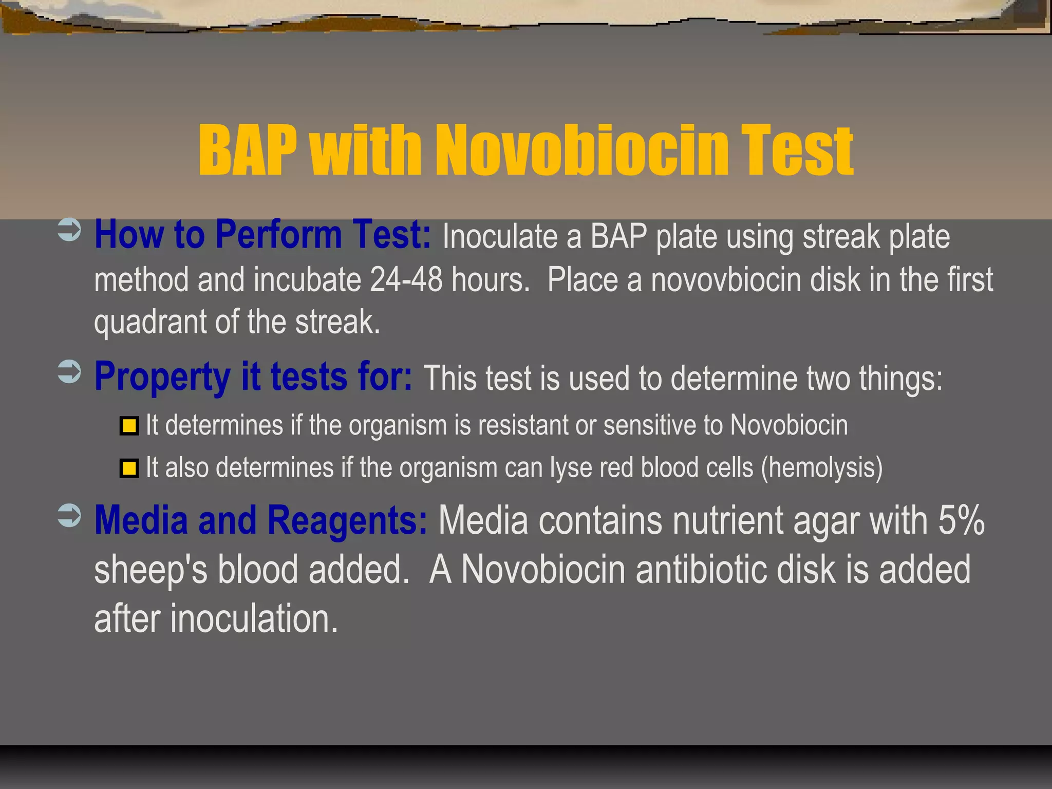 BAP with Novobiocin Test
 How to Perform Test: Inoculate a BAP plate using streak plate
method and incubate 24-48 hours. Place a novovbiocin disk in the first
quadrant of the streak.
 Property it tests for: This test is used to determine two things:
It determines if the organism is resistant or sensitive to Novobiocin
It also determines if the organism can lyse red blood cells (hemolysis)
 Media and Reagents: Media contains nutrient agar with 5%
sheep's blood added. A Novobiocin antibiotic disk is added
after inoculation.
 