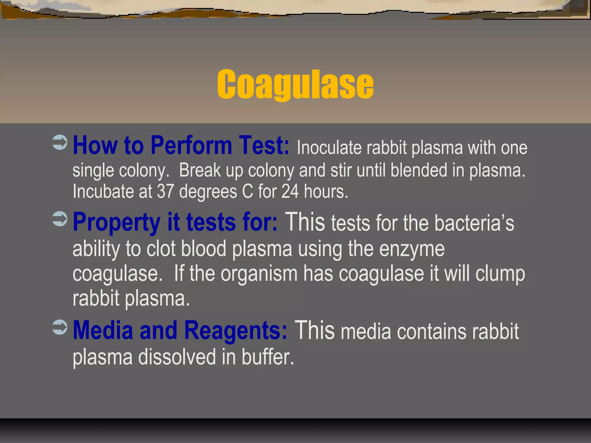 Coagulase
 How to Perform Test: Inoculate rabbit plasma with one
single colony. Break up colony and stir until blended in plasma.
Incubate at 37 degrees C for 24 hours.
 Property it tests for: This tests for the bacteria’s
ability to clot blood plasma using the enzyme
coagulase. If the organism has coagulase it will clump
rabbit plasma.
 Media and Reagents: This media contains rabbit
plasma dissolved in buffer.
 