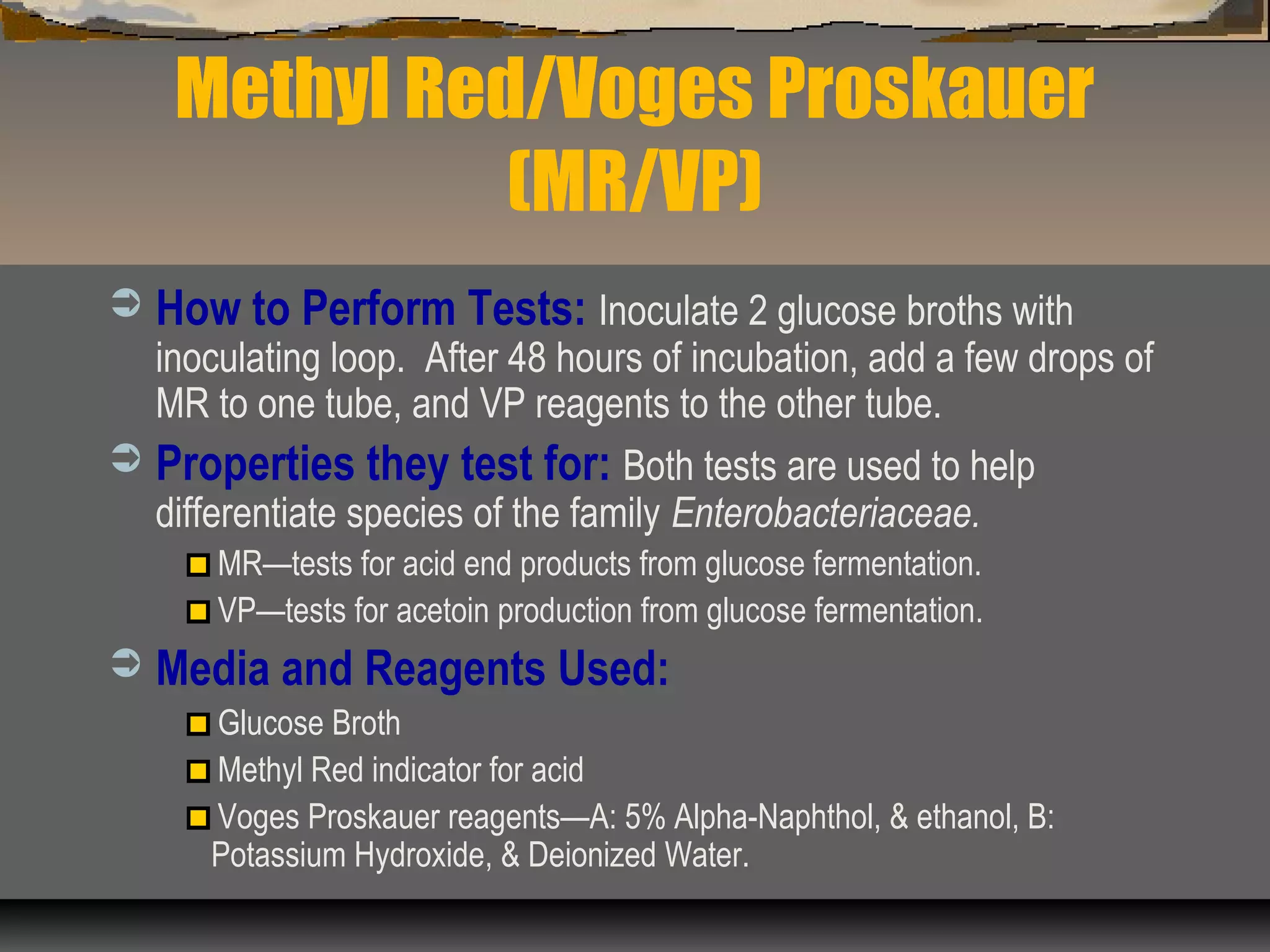 Methyl Red/Voges Proskauer
(MR/VP)
 How to Perform Tests: Inoculate 2 glucose broths with
inoculating loop. After 48 hours of incubation, add a few drops of
MR to one tube, and VP reagents to the other tube.
 Properties they test for: Both tests are used to help
differentiate species of the family Enterobacteriaceae.
MR—tests for acid end products from glucose fermentation.
VP—tests for acetoin production from glucose fermentation.
 Media and Reagents Used:
Glucose Broth
Methyl Red indicator for acid
Voges Proskauer reagents—A: 5% Alpha-Naphthol, & ethanol, B:
Potassium Hydroxide, & Deionized Water.
 