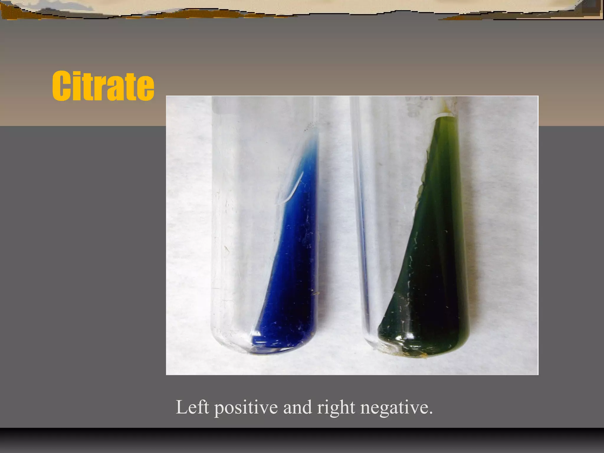 Citrate
Left positive and right negative.
 
