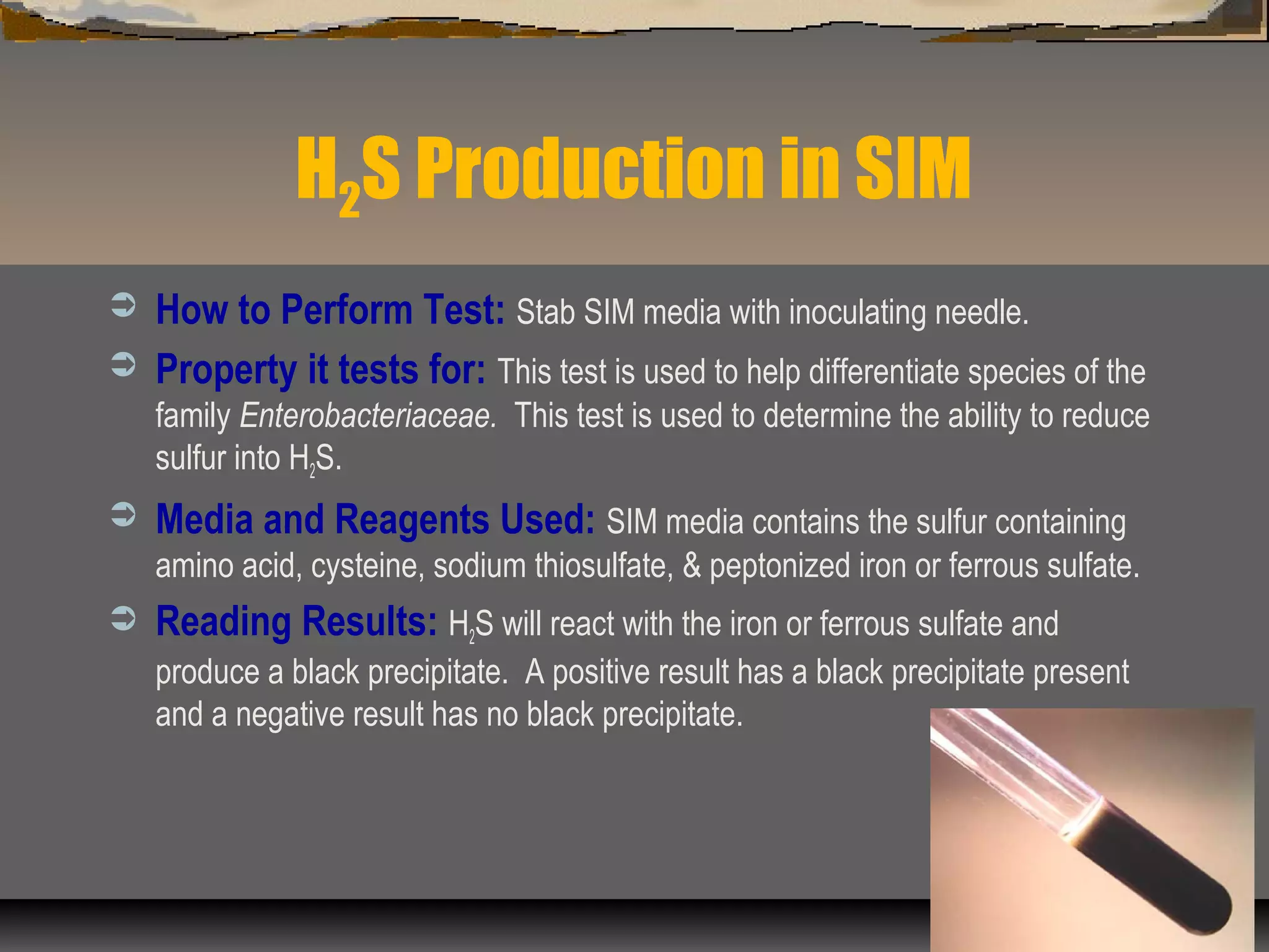 H2S Production in SIM
 How to Perform Test: Stab SIM media with inoculating needle.
 Property it tests for: This test is used to help differentiate species of the
family Enterobacteriaceae. This test is used to determine the ability to reduce
sulfur into H2S.
 Media and Reagents Used: SIM media contains the sulfur containing
amino acid, cysteine, sodium thiosulfate, & peptonized iron or ferrous sulfate.
 Reading Results: H2S will react with the iron or ferrous sulfate and
produce a black precipitate. A positive result has a black precipitate present
and a negative result has no black precipitate.
 