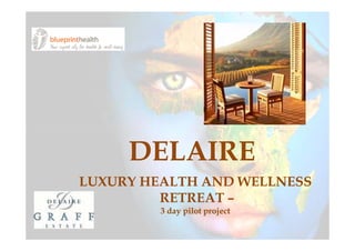 DELAIRE
LUXURY HEALTH AND WELLNESS
         RETREAT –
         3 day pilot project
 