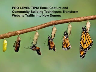 Building
Strong
Relationships
28
Pro
Tips
PRO LEVEL TIPS: Email Capture and
Community Building Techniques Transform
Website Traffic Into New Donors
 