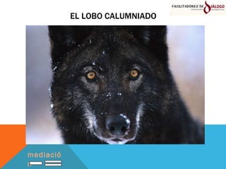 EL LOBO CALUMNIADO mediación