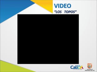 VIDEO
“LOS TOPOS”
 