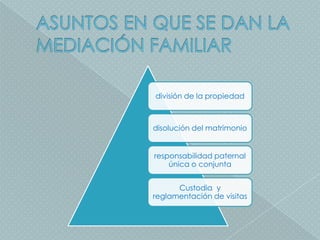 división de la propiedad



disolución del matrimonio


responsabilidad paternal
    única o conjunta


      Custodia y
reglamentación de visitas
 