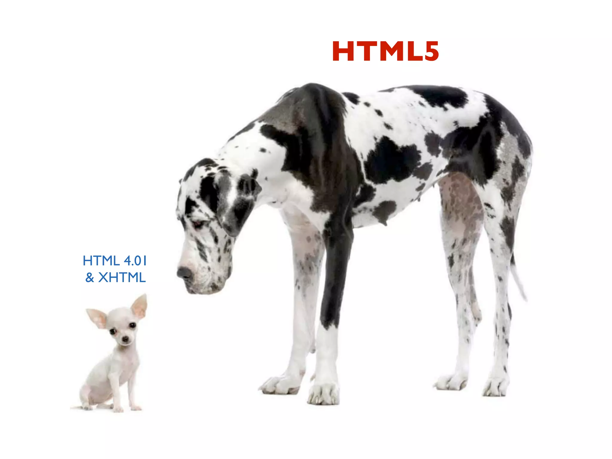 HTML5




HTML 4.01
& XHTML
 