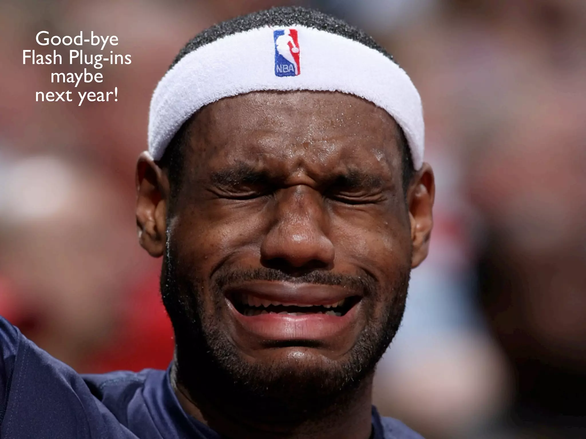 Good-bye
Flash Plug-ins
    maybe
  next year!
 