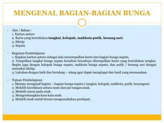 MENGENAL BAGIAN-BAGIAN BUNGA


Alat / Bahan :
1. Karton asturo
2. Kartu yang bertuliskan tangkai, kelopak, mahkota putik, benang sari.
3. Silotip
4. Sepatu



Kegiatan Pembelajaran
1. Siapkan karton asturo sebagai alas menempelkan kartu dan bagian bunga sepatu.
2. Tempelkan tangkai bunga sepatu kemdian bawahnya ditempelkan kartu yang bertuliskan tangkai.
Begitu juga dengan kelopak bunga sepatu, mahkota bunga sepatu, dan putik / benang sari dengan
memakai silotip.
3. Lakukan dengan baik dan berulang – ulang agar dapat mengingat dan hasil yang memuaskan.



Tujuan Pembelajaran
1. Mampu mengenal bagian – bagian bunga sepatu ( tangkai, kelopak, mahkota, putik, benangsari.
2. Melatih koordinasi antara mata dan jari tangan anak.
3. Melatih emosi pada anak.
4. Mengembangkan kosa kata anak.
5. Melatih anak untuk berani mengemukakan pendapat.

 