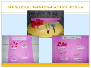 MENGENAL BAGIAN-BAGIAN BUNGA

 