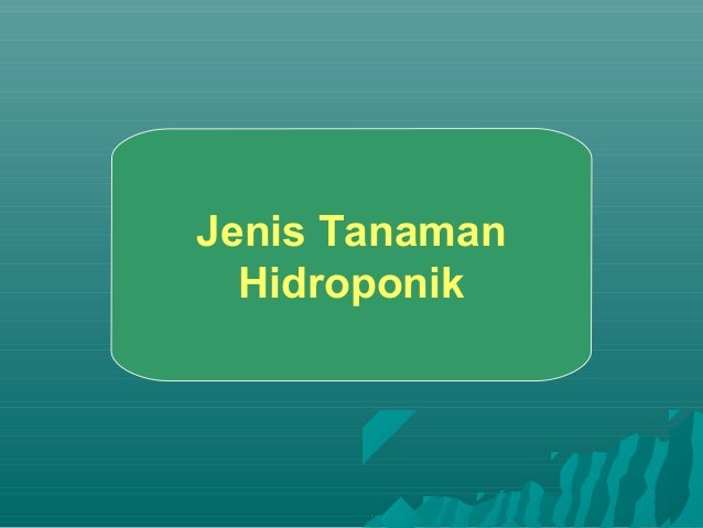 Media dan ijenis tanaman hidroponiki Media dan ijenis tanaman hidroponiki