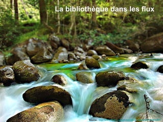 La bibliothèque dans les flux Source :  http://www.flickr.com/photos/steve_steady64/1426454467/   