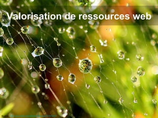 Valorisation de ressources web Source : http://www.flickr.com/photos/lidarose/251573637   