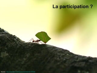 La participation ? Source :   http://www.flickr.com/photos/davidden/87705598   