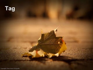 Tag 