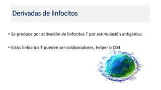 Derivadas de linfocitos
• Se produce por activación de linfocitos T por estimulación antigénica.
• Estos linfocitos T pueden ser colaboradores, helper o CD4
 