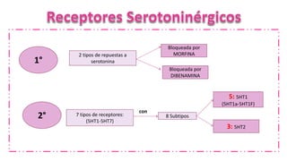 1°
2°
2 tipos de repuestas a
serotonina
7 tipos de receptores:
(5HT1-5HT7)
Bloqueada por
MORFINA
Bloqueada por
DIBENAMINA
8 Subtipos
con
5: 5HT1
(5HT1a-5HT1F)
3: 5HT2
 