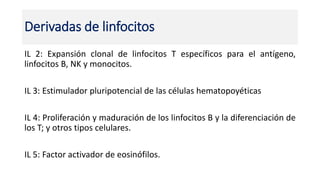 IL 2: Expansión clonal de linfocitos T específicos para el antígeno,
linfocitos B, NK y monocitos.
IL 3: Estimulador pluripotencial de las células hematopoyéticas
IL 4: Proliferación y maduración de los linfocitos B y la diferenciación de
los T; y otros tipos celulares.
IL 5: Factor activador de eosinófilos.
Derivadas de linfocitos
 