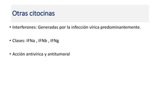 Otras citocinas
• Interferones: Generadas por la infección vírica predominantemente.
• Clases: IFNa , IFNb , IFNg
• Acción antivírica y antitumoral
 