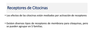 Receptores de Citocinas
• Los efectos de las citocinas están mediados por activación de receptores
• Existen diversos tipos de receptores de membrana para citoquinas, pero
se pueden agrupar en 5 familias.
 