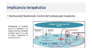 • Daclizumab/ Basiliximab: Control del rechazo post trasplante.
Implicancia terapéutica
Antagonista al receptor
para IL-2 fijándose a la
cadena alfa del complejo
receptor para IL-2 y, por
lo tanto, inhibiendo la
unión de la IL-2.
 