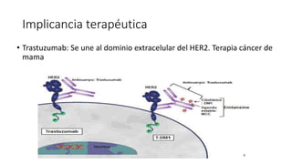 • Trastuzumab: Se une al dominio extracelular del HER2. Terapia cáncer de
mama
Implicancia terapéutica
 