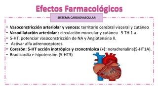 SISTEMA CARDIOVASCULAR
• Vasoconstricción arteriolar y venosa: territorio cerebral visceral y cutáneo
• Vasodilatación arteriolar : circulación muscular y cutánea 5 TH 1 a
• 5-HT: potenciar vasoconstricción de NA y Angiotensina II.
• Activar alfa adrenoceptores.
• Corazón: 5-HT acción inotrópica y cronotrópica (+): noradrenalina(5-HT1A).
• Bradicardia e hipotensión (5-HT3)
 