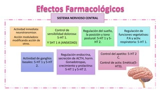 SISTEMA NERVIOSO CENTRAL
Actividad inmediata:
neurotransmisor.
Acción moduladora:
modificando acción de
otros.
Control de
sensibilidad dolorosa:
5-HT 1.
Y 5HT 1 A (ANSIEDAD)
Regulación del sueño,
la posición y tono
postural: 5-HT 1 y 5-
HT 2.
Regulación de
funciones vegetativas:
P.A y activ.
respiratoria: 5-HT 1.
Actividad de ganglios
basales: 5-HT 1 y 5-HT
2.
Regulación endocrina,
secreción de ACTH, horm.
Gonadotropas,
crecimiento y prolactina:
5-HT 1 y 5-HT 2.
Control del apetito: 5-HT 2
C.
Control de activ. Emética(5-
HT3).
 