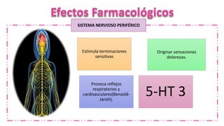 SISTEMA NERVIOSO PERIFÉRICO
Estimula terminaciones
sensitivas
Originar sensaciones
dolorosas.
Provoca reflejos
respiratorios y
cardivasculares(Benzold-
Jarish).
5-HT 3
 