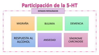 ESTADOS PATOLÓGICOS
MIGRAÑA BULIMIA DEMENCIA
RESPUESTA AL
ALCOHOL
ANSIEDAD
SÍNDROME
CARCINOIDE
 