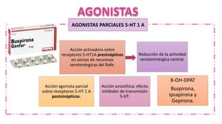AGONISTAS PARCIALES 5-HT 1 A
Reducción da la actividad
serotoninérgica central.
Acción activadora sobre
receptores 5-HT1A presinápticos
en somas de neuronas
serotonérgicas del Rafe.
Acción agonista parcial
sobre receptores 5-HT 1 A
postsinápticos.
Acción ansiolítica: efecto
inhibidor de transmisión
5-HT.
8-OH-DPAT
Buspirona,
Ipsapirona y
Gepirona.
 