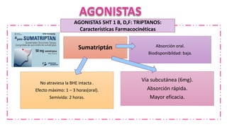 Absorción oral.
Biodisponibildad: baja.
Sumatriptán
No atraviesa la BHE intacta .
Efecto máximo: 1 – 3 horas(oral).
Semivida: 2 horas.
Vía subcutánea (6mg).
Absorción rápida.
Mayor eficacia.
AGONISTAS 5HT 1 B, D,F: TRIPTANOS:
Características Farmacocinéticas
 