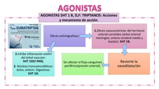 1.Efecto vasoconstrictor del territorio
arterial carotídeo (árbol arterial
meníngeo, arteria cerebral media y
basilar): 5HT 1B.
Efecto antimigrañoso
2.Inhibe inflamación estéril
del árbol vascular:
5HT 1D(V PAR).
3. Núcleos troncoencefálicos:
dolor, síntom. Digestivos:
5HT 1D.
Sin afectar el flujo sanguíneo
periférico(presión arterial).
Revierte la
vasodilatación
AGONISTAS 5HT 1 B, D,F: TRIPTANOS: Acciones
y mecanismo de acción.
 