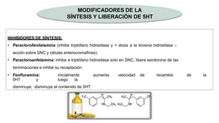 MODIFICADORES DE LA
SÍNTESIS Y LIBERACIÓN DE 5HT
INHIBIDORES DE SÍNTESIS:
• Paraclorofenilalamina (inhibe triptófano hidroxilasa y > dosis a la tirosina hidroxilasa –
acción sobre SNC y células enterocromafines).
• Paracloroanfetamina: inhibe a triptófano hidroxilasa solo en SNC, libera serotonina de las
terminaciones e inhibe su recaptación.
• Fenfluramina: inicialmente aumenta velocidad de recambio de la
5HT y luego la
disminuye, disminuye el contenido de 5HT.
 