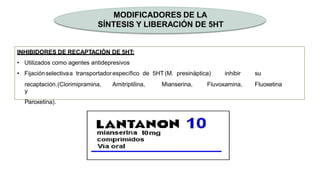 MODIFICADORES DE LA
SÍNTESIS Y LIBERACIÓN DE 5HT
INHIBIDORES DE RECAPTACIÓN DE 5HT:
• Utilizados como agentes antidepresivos
• Fijaciónselectivaa transportadorespecífico de 5HT (M. presináptica) inhibir su
recaptación.(Clorimipramina, Amitriptilina, Mianserina, Fluvoxamina, Fluoxetina
y
Paroxetina).
 