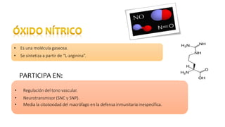 • Es una molécula gaseosa.
• Se sintetiza a partir de “L-arginina”.
• Regulación del tono vascular.
• Neurotransmisor (SNC y SNP).
• Media la citotoxidad del macrófago en la defensa inmunitaria inespecífica.
PARTICIPA EN:
 