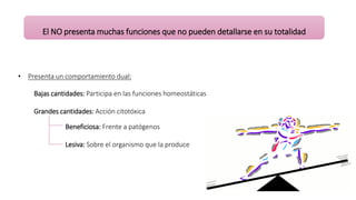 • Presenta un comportamiento dual:
Bajas cantidades: Participa en las funciones homeostáticas
Grandes cantidades: Acción citotóxica
Beneficiosa: Frente a patógenos
Lesiva: Sobre el organismo que la produce
El NO presenta muchas funciones que no pueden detallarse en su totalidad
 
