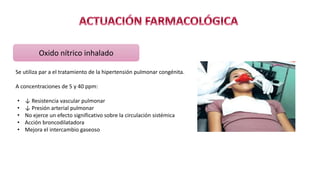 Oxido nítrico inhalado
Se utiliza par a el tratamiento de la hipertensión pulmonar congénita.
A concentraciones de 5 y 40 ppm:
• ↓ Resistencia vascular pulmonar
• ↓ Presión arterial pulmonar
• No ejerce un efecto significativo sobre la circulación sistémica
• Acción broncodilatadora
• Mejora el intercambio gaseoso
 