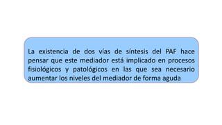 La existencia de dos vías de síntesis del PAF hace
pensar que este mediador está implicado en procesos
fisiológicos y patológicos en las que sea necesario
aumentar los niveles del mediador de forma aguda
 