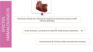EFECTOS
FARMACOLOGICOS
Contracción arteriolar por activación de receptores en musculo liso vascular y acción
indirecta adrenérgica
Acción inotropica +, aumenta de la resistencia. Puede provocar bradicardia y GC.
Puede promover de miocitos y células musculares lisas vasculares
 