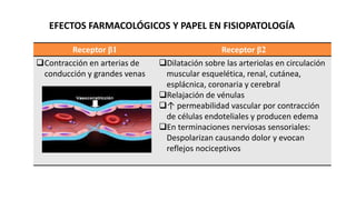 EFECTOS FARMACOLÓGICOS Y PAPEL EN FISIOPATOLOGÍA
Receptor β1 Receptor β2
Contracción en arterias de
conducción y grandes venas
Dilatación sobre las arteriolas en circulación
muscular esquelética, renal, cutánea,
esplácnica, coronaria y cerebral
Relajación de vénulas
↑ permeabilidad vascular por contracción
de células endoteliales y producen edema
En terminaciones nerviosas sensoriales:
Despolarizan causando dolor y evocan
reflejos nociceptivos
 