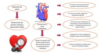 Dilatación de
vasos
Disminución de
presión arterial y
taquicardia refleja
Cininas junto a
otros
mediadores
Ajuste circulatorio del
recién nacido (cierre
del conducto arterial
y vasoconstricción
umbilical).
En músculo liso extravascular de
humanos: Broncoconstricción
En músculo estriado: Regulan el
metabolismo glúcido
En función renal: Aldosterona al
↑[calicreína], activa receptores de
cininas, ↑ transporte de cloro en el
túbulo colector.
Implicación en rinitis, angioderma
hereditario, gota, shock endotóxico
Cinasa II es idéntica al antígeno de la
leucemia linfoblástica aguda
 