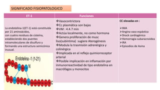 ET-1 Funciones
La endotelina-1(ET-1) está constituida
por 21 aminoácidos,
con cuatro residuos de cisteína,
estableciendo dos puentes
intramoleculares de disulfuro y
formando una estructura semicónica
inusual.
Vasocontrictora
Cc plasmática son bajas
VM : 4 A 7 min
Actúa localmente, no como hormona
Genera proliferación de musc
liso(subíntima) sugiere Aterogénesis
Modula la trasmisión adrenérgica y
colinérgica
Implicada en el reflejo quimiorreceptor
arterial
Posible implicación en inflamación por
inmunorreactividad de tipo endotelina en
macrófagos y monocitos
CC elevadas en :
IMA
Angina vaso espástica
Shock cardiogénico
Hemorragia subaracnoidea
IRA
Episodios de Asma
SIGNIFICADO FISIOPATOLOGICO
 