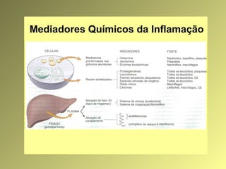 Mediadores Químicos da Inflamação
 
