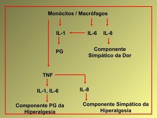 Monócitos / Macrófagos
IL-1
PG Componente
Simpático da Dor
IL-6 IL-8
TNF
IL-1, IL-6 IL-8
Componente Simpático da
Hiperalgesia
Componente PG da
Hiperalgesia
 
