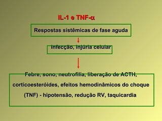 IL-1 e TNF-IL-1 e TNF-αα
Respostas sistêmicas de fase agudaRespostas sistêmicas de fase aguda
Infecção, injúria celularInfecção, injúria celular
Febre, sono, neutrofilia, liberação de ACTH,Febre, sono, neutrofilia, liberação de ACTH,
corticoesteróides, efeitos hemodinâmicos do choquecorticoesteróides, efeitos hemodinâmicos do choque
(TNF) - hipotensão, redução RV, taquicardia(TNF) - hipotensão, redução RV, taquicardia
 