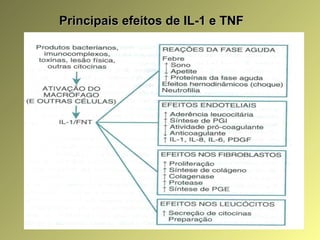 Principais efeitos de IL-1 e TNFPrincipais efeitos de IL-1 e TNF
 